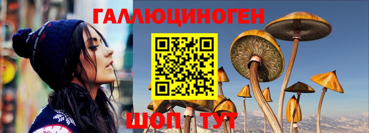 Псилоцибиновые грибы ЛСД  Вход с VPN  даркнет сайт  Лениногорск 